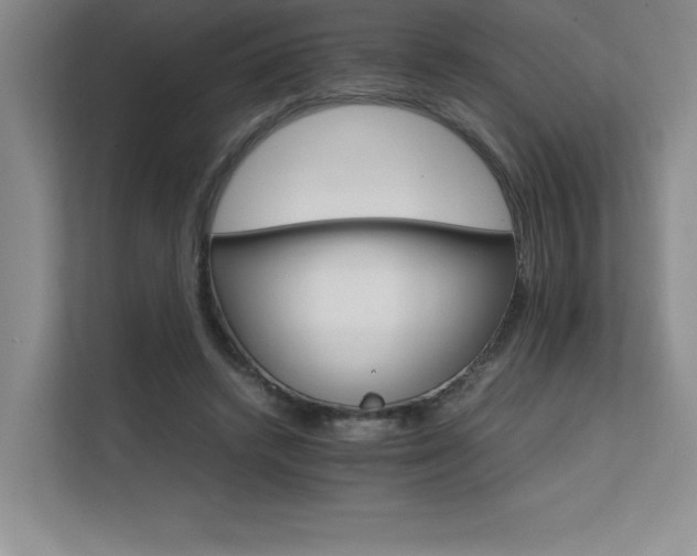 X0000111680448200907171637