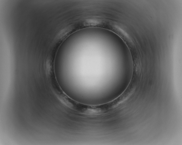 X0000111680455200907171637