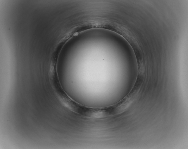 X0000111680456200907171637