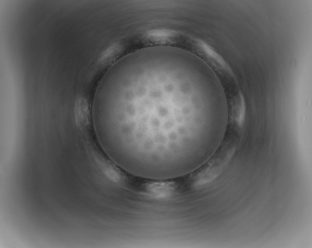 X0000111680465200907171637