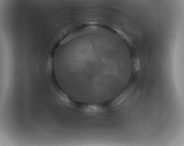 X0000111680475200907171637