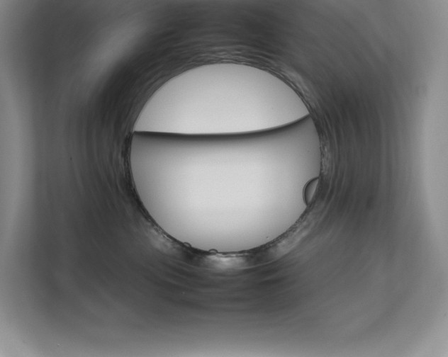 X0000111680477200907171637