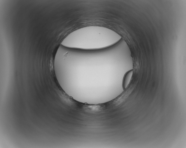 X0000111680478200907171637