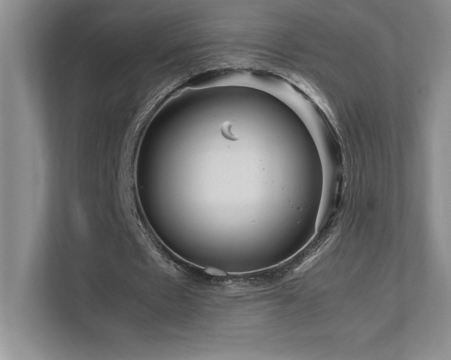 X0000111680481200907171637