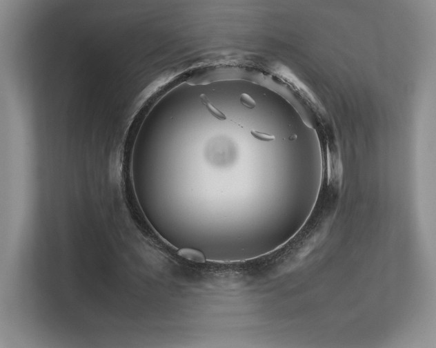 X0000111680483200907171637