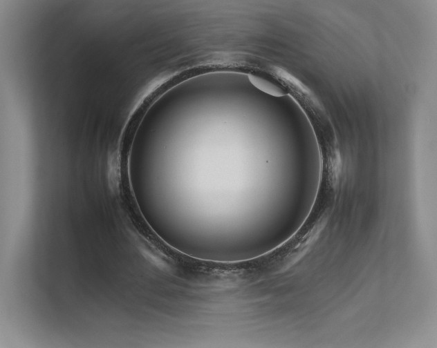 X0000111680484200907171637