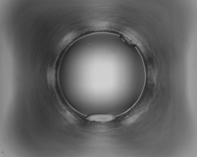 X0000111680485200907171637