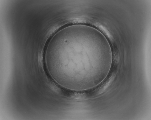 X0000111680487200907171637