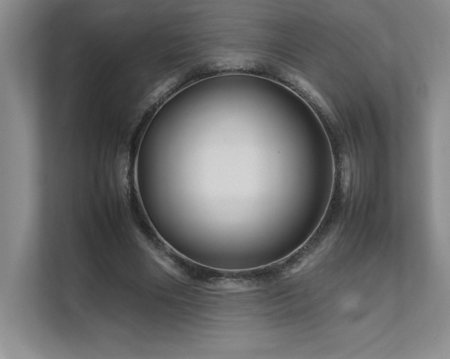 X0000111680490200907171637