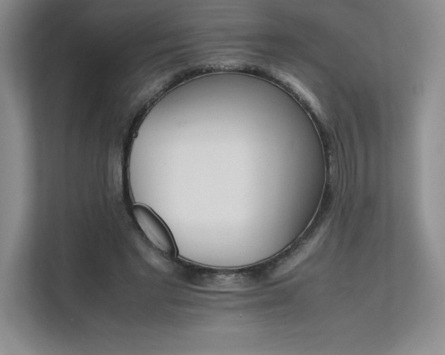 X0000111680493200907171637