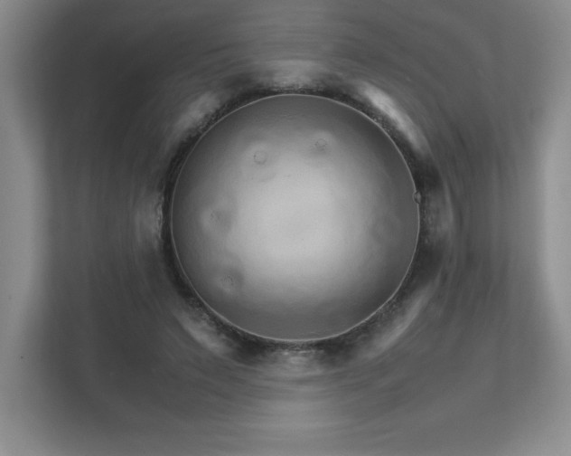 X0000111680495200907171637