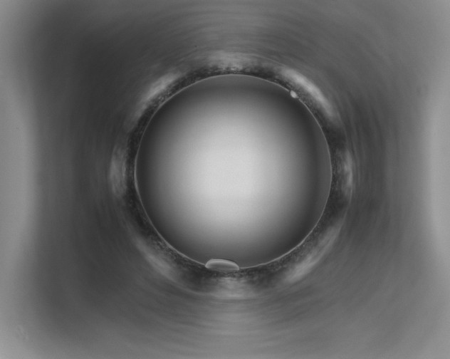 X0000111680496200907171637