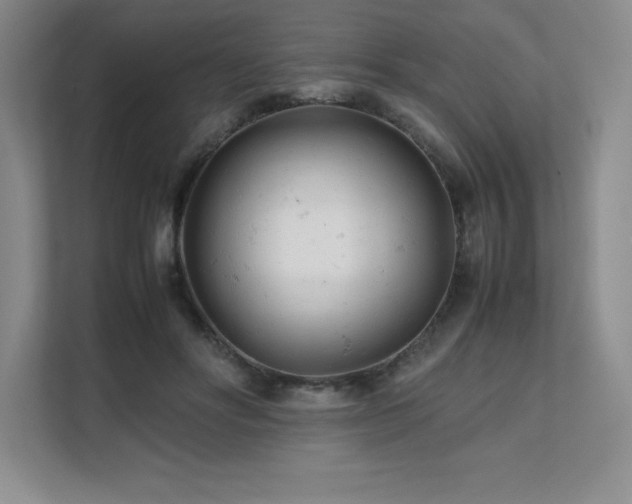 X0000111680502200907171636