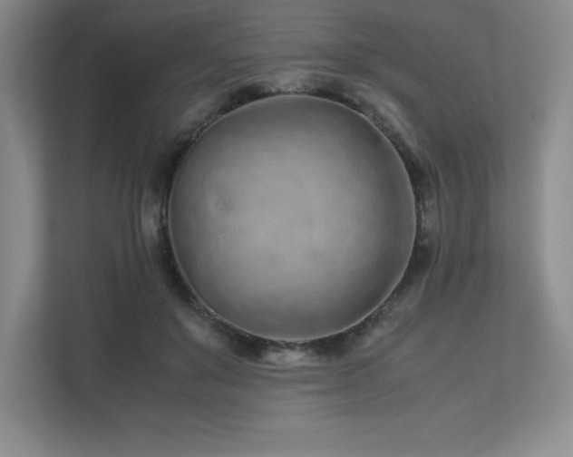 X0000111680503200907171636