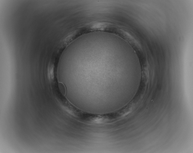 X0000111680504200907171636