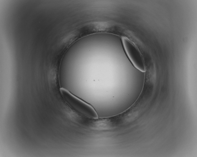 X0000111680505200907171636