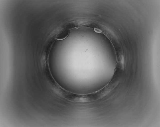 X0000111680506200907171636