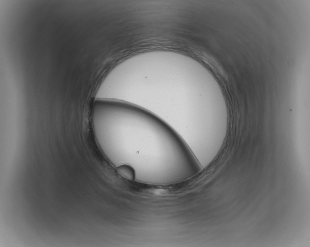 X0000111680509200907171636