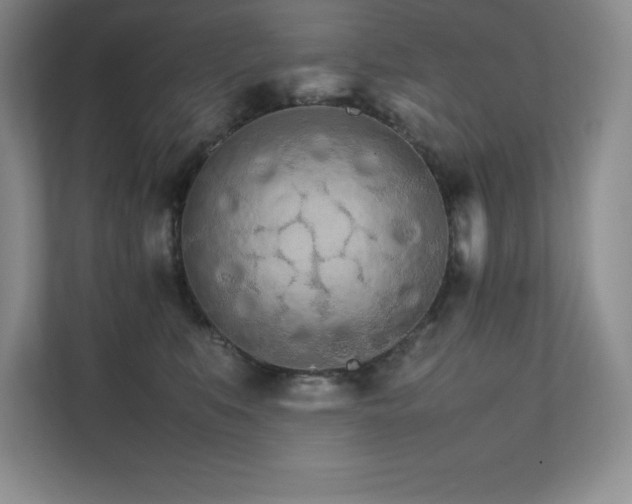 X0000111680519200907171636