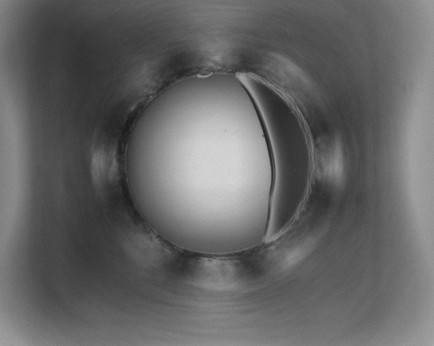 X0000111680520200907171636