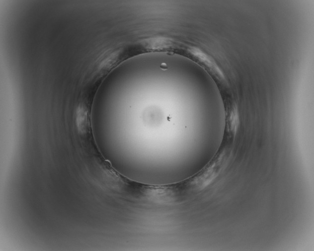 X0000111680521200907171636