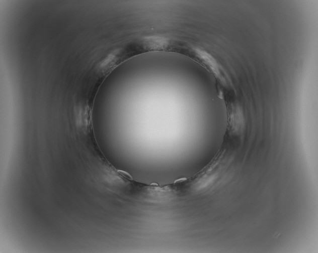 X0000111680525200907171636