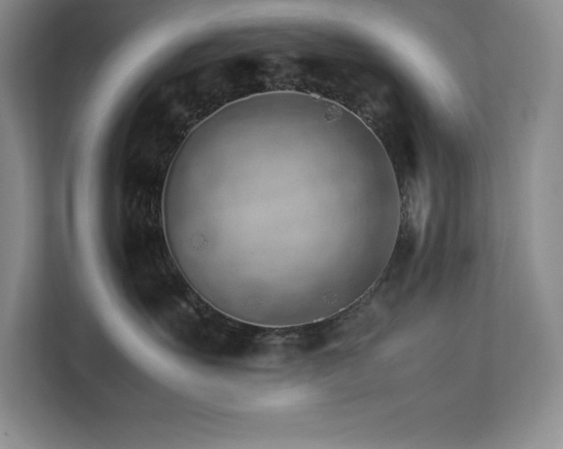 X0000111680527200907171636