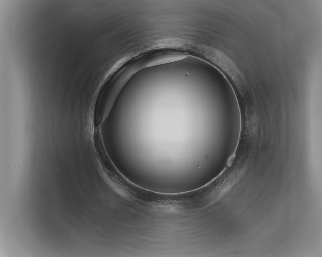 X0000111680530200907171636