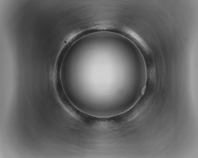 X0000111680540200907171636