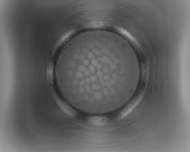 X0000111680542200907171636