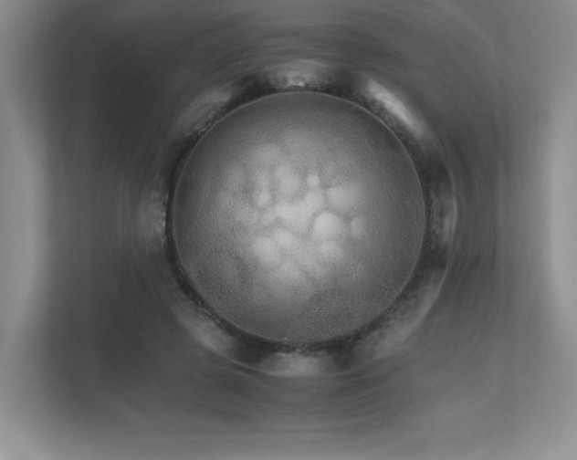 X0000111680545200907171636