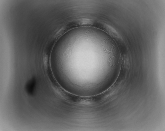 X0000111680550200907171636