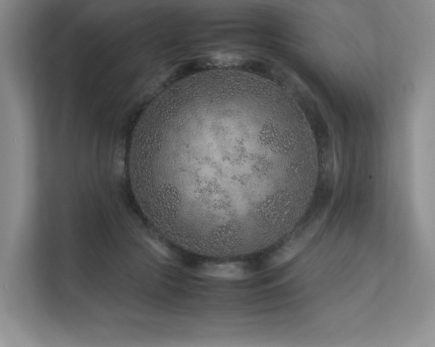 X0000111680553200907171636