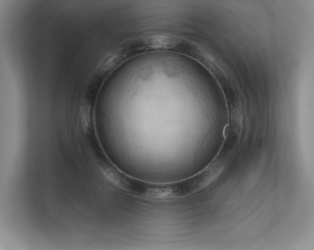 X0000111680554200907171636