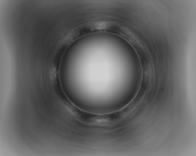 X0000111680555200907171636