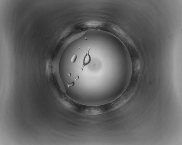 X0000111680559200907171636