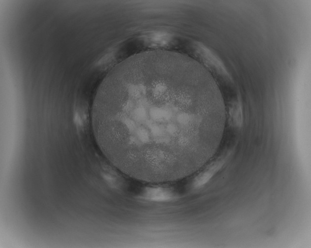 X0000111680561200907171636