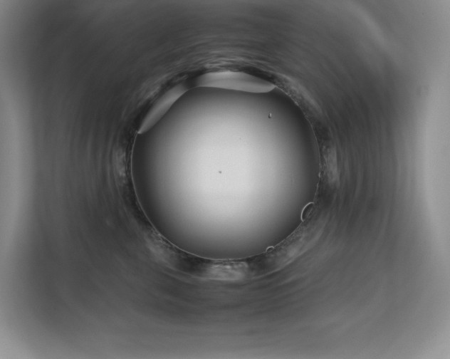 X0000111680571200907171636