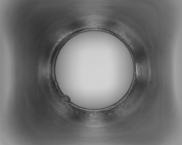 X0000111680579200907171635