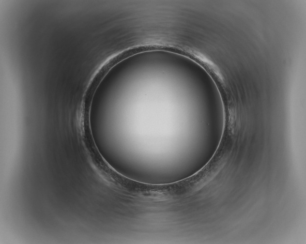 X0000111680580200907171635