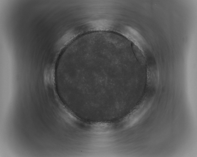 X0000111680581200907171635