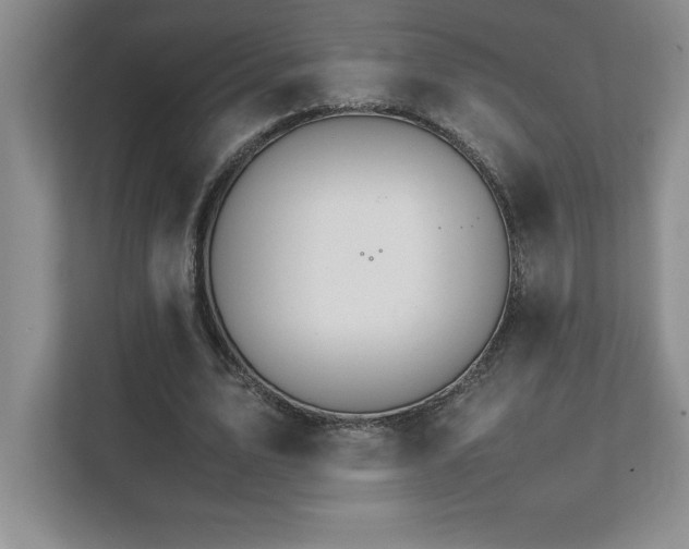 X0000111680583200907171635