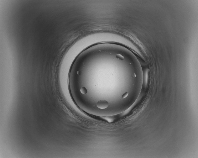 X0000111680585200907171635