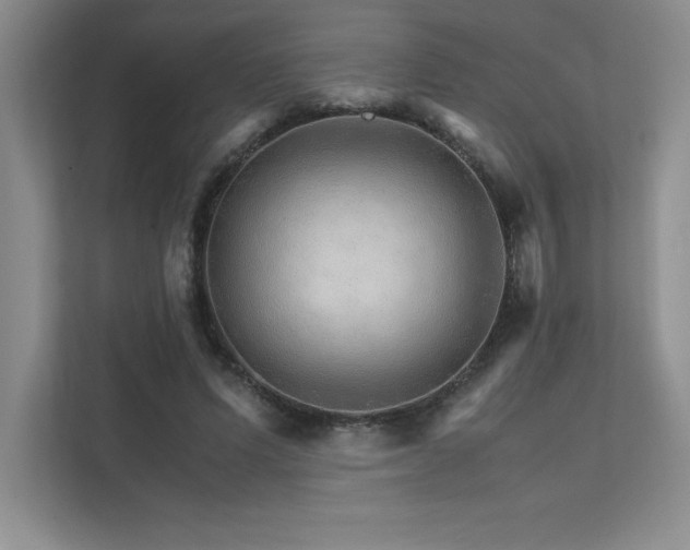 X0000111680591200907171635