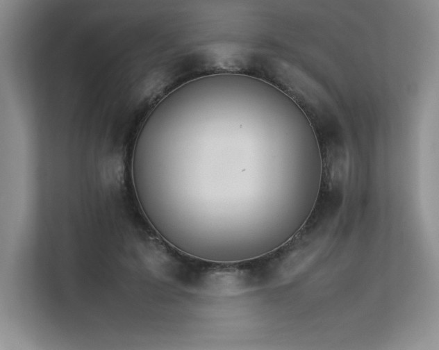 X0000111680595200907171635