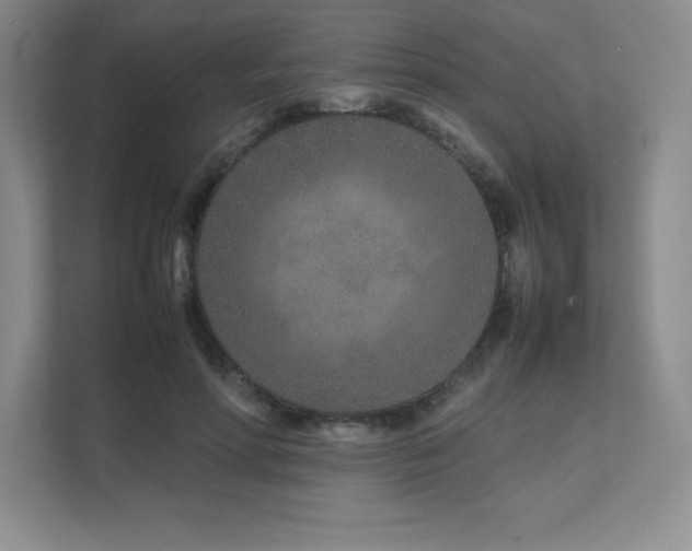 X0000111680598200907171635