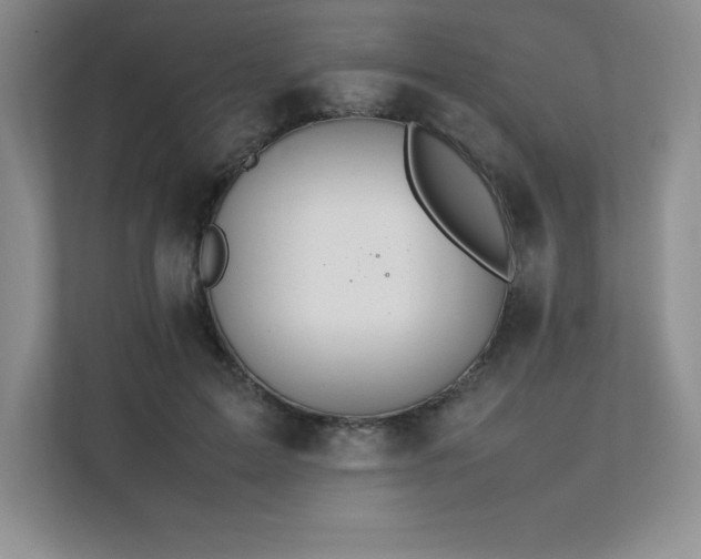 X0000111680599200907171635