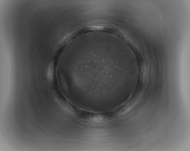 X0000111680600200907171635