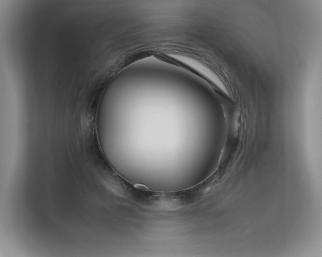 X0000111680601200907171635