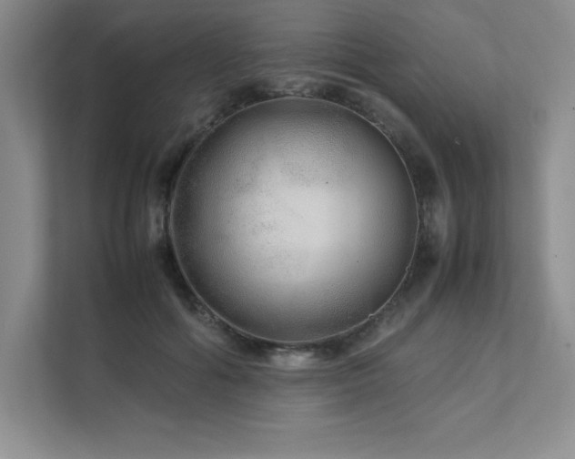 X0000111680602200907171635